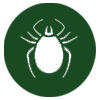 pest-control-in-seychelles_ticks_and_fleas