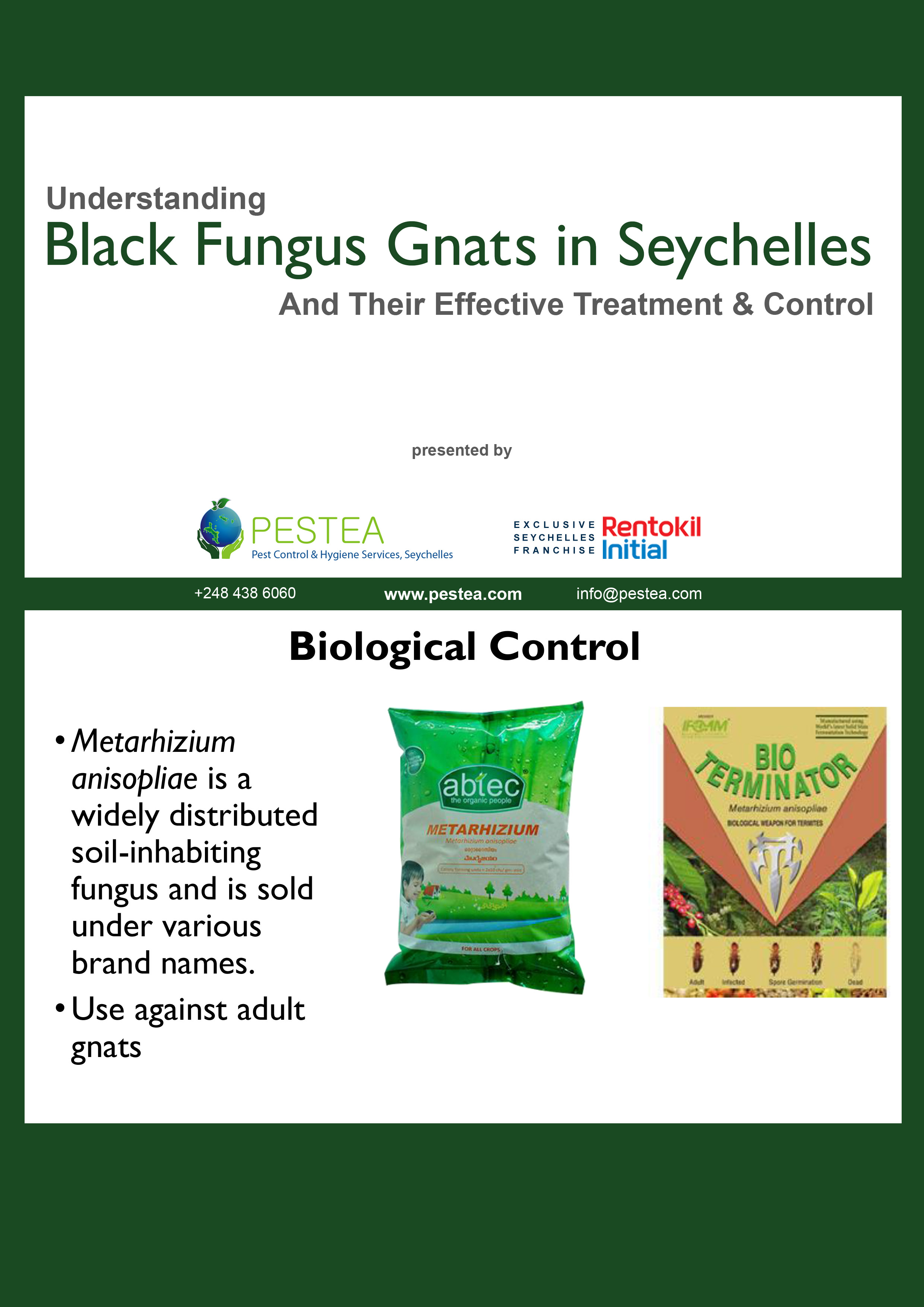 Download Fungus Gnat Species Profile