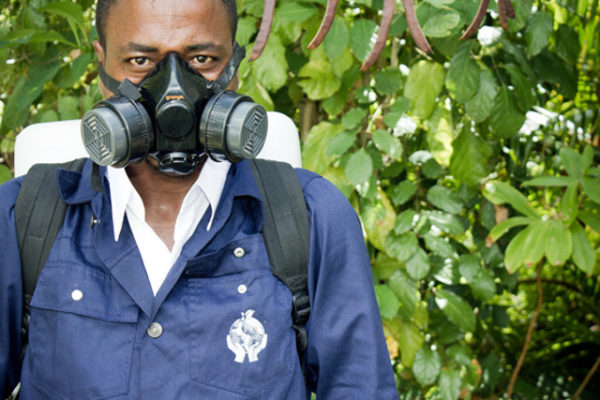 Pest-Control-in_Seychelles_fumigation_in_seychelles_2
