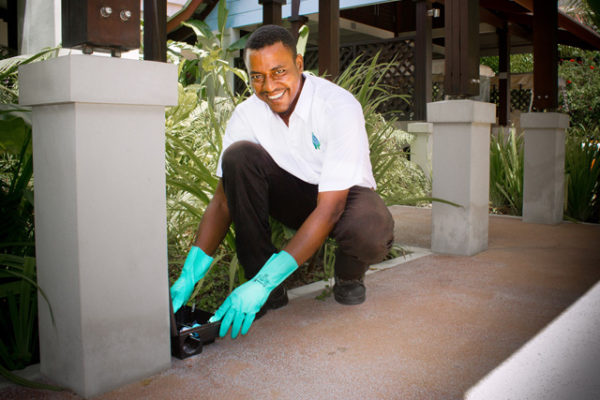 pest-control-in_seychelles_rodents_rats