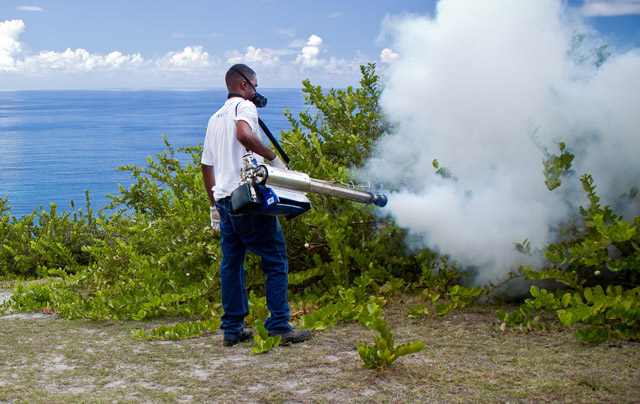 Expert-Pest-Control_in_Seychelles