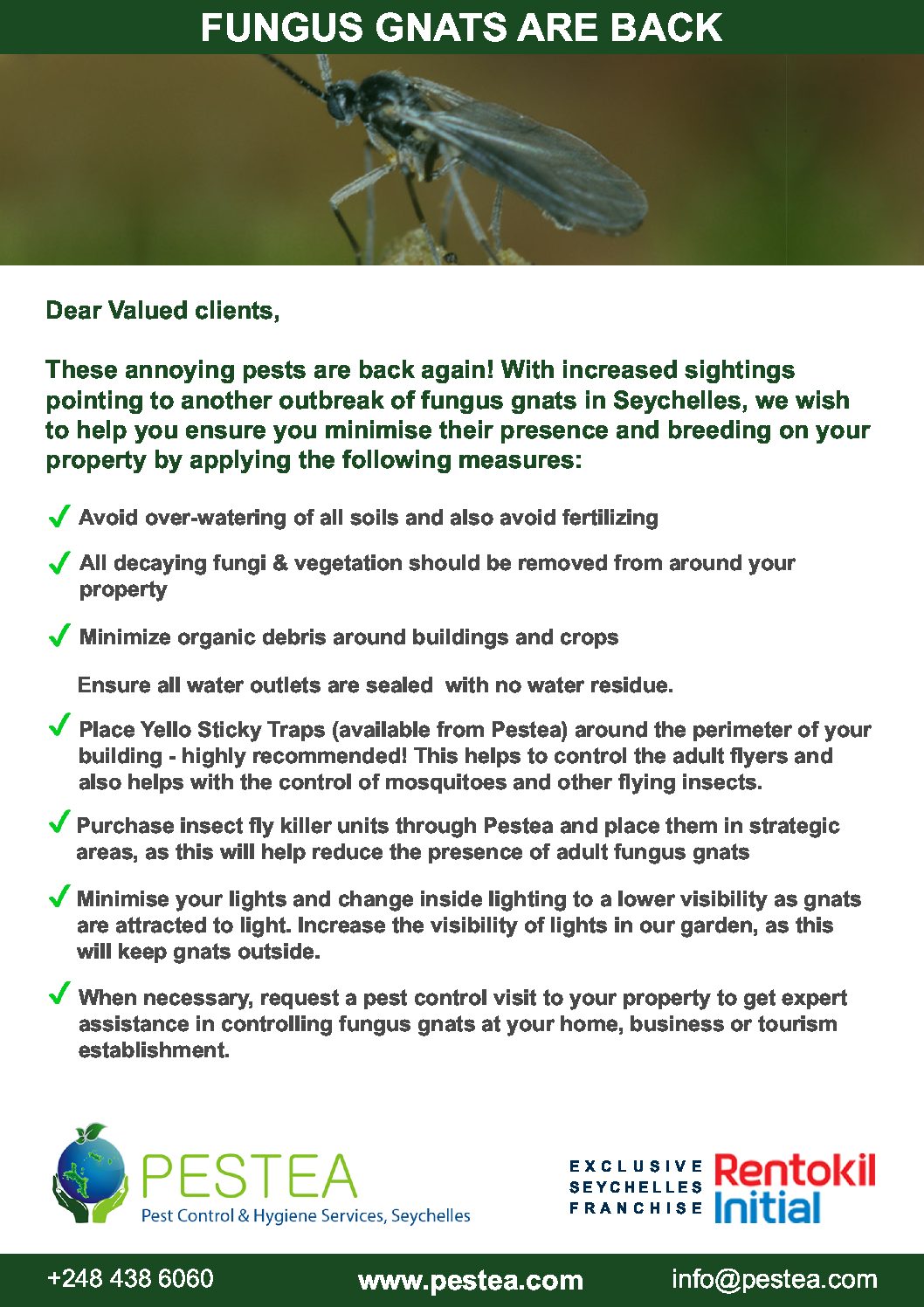 Download Fungus Gnat Control Checklist