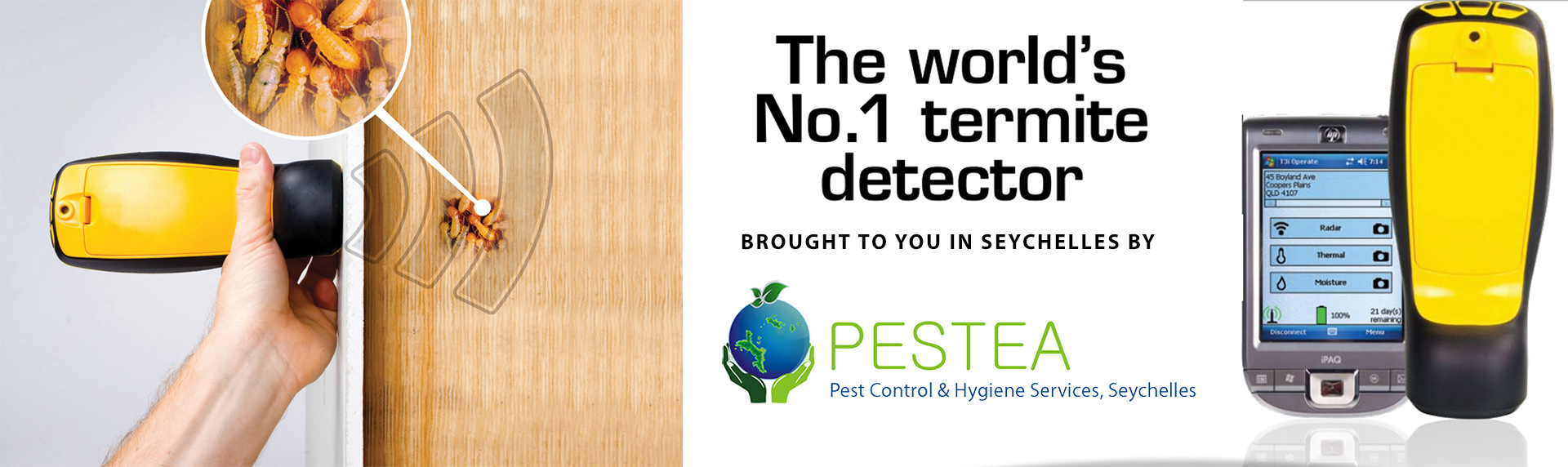 Pestea_termite_detection_in_Seychelles